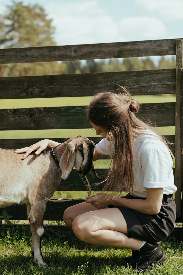 woman holding dairy goat