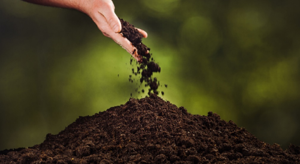 How to make money improving soil health & crop nutrition