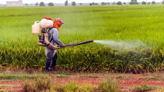 Why do pesticides fail to work in your farm