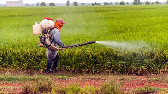 The best tips for pesticides safe use & handling post thumbnail image