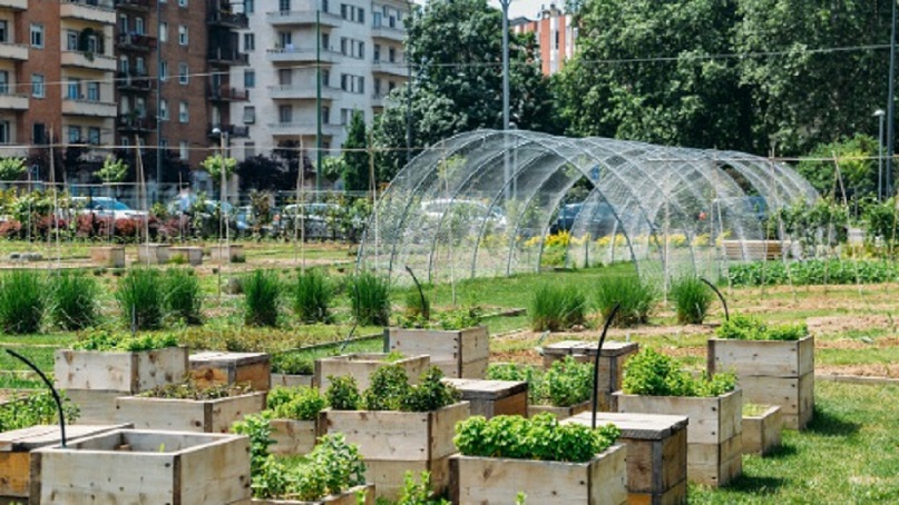 Urban agriculture