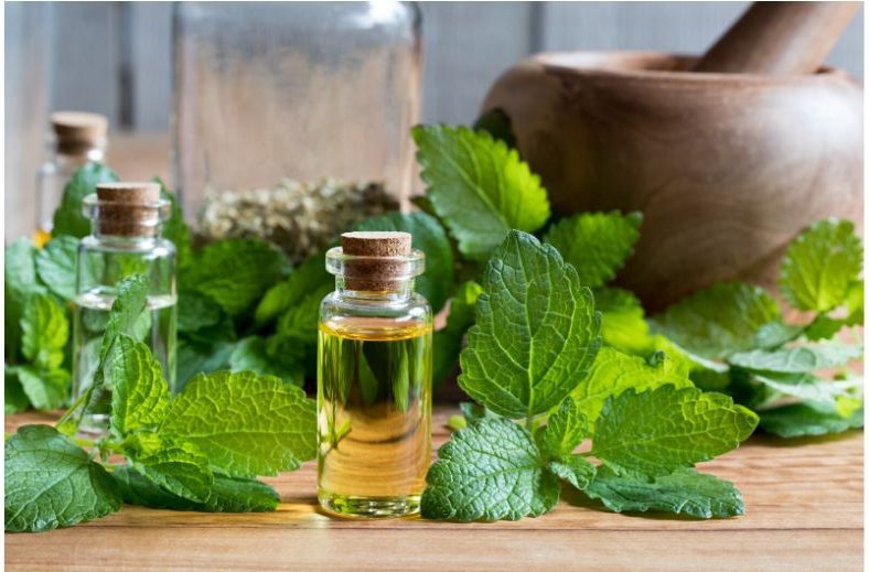 A picture of melissa herb leaves and extracted oil.