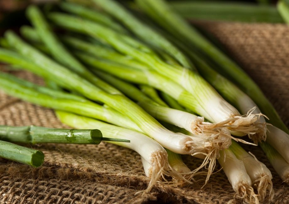 uprooted chives with green leaves and white stem and roots.