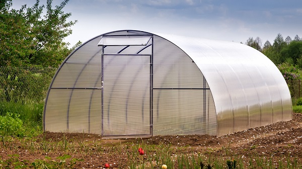 A greenhouse net to trees