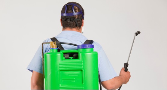 Fumigation services using a Knacks pack sprayer