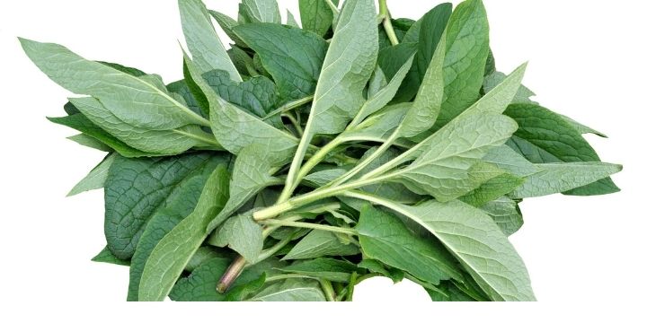 comfrey leaves/Mabaki kikuyu traditional vegetables