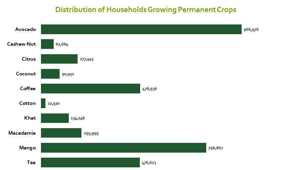 The main cash crops grown in Kenya 