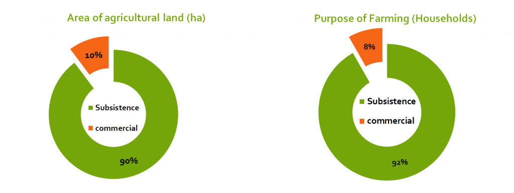 commercial farming in Kenya