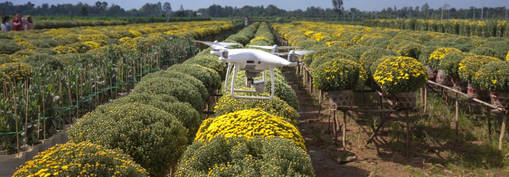 A white drone inspecting a farm of growing flowers 
