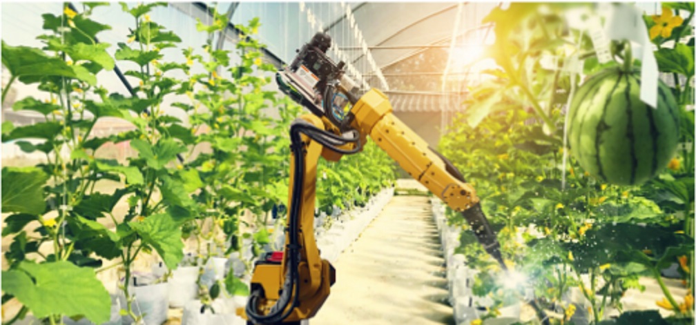 farming ideas post corona pandemic will robot tending to melon crops in a greenhouse