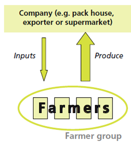 How contract farming works