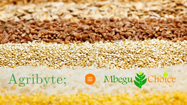 How to use the Mbegu Choice platform for best seeds
