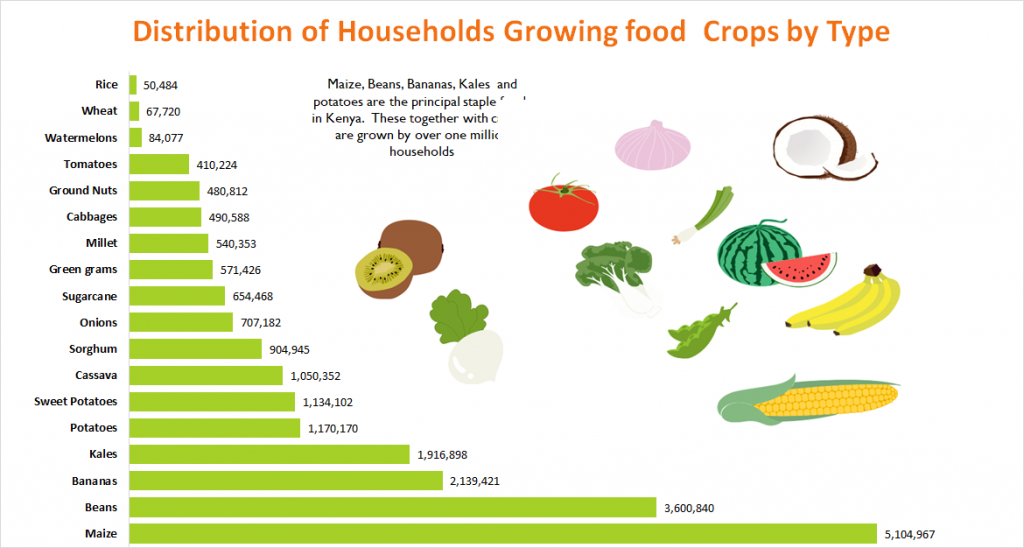 Main food crops types grown in Kenya 