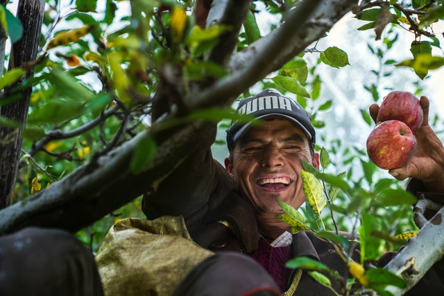 a happy man with a cap under an apple tree