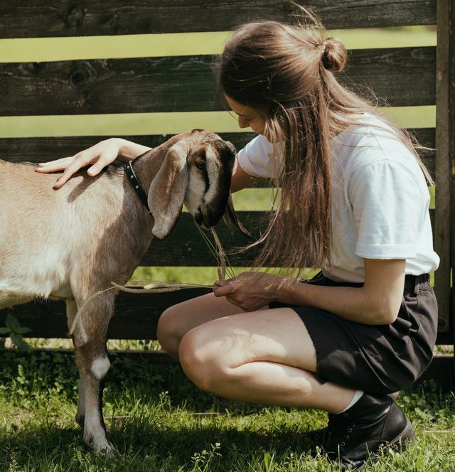 young woman with a dairy goat