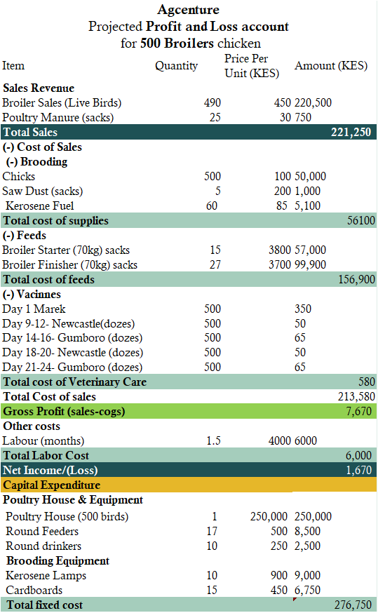 how profitable is 500 broilers in Kenya