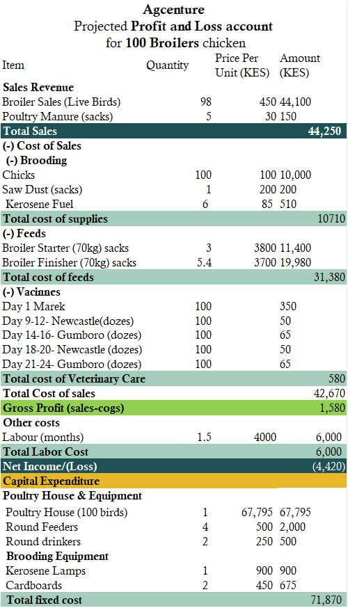 how profitable is 100 broilers in kenya