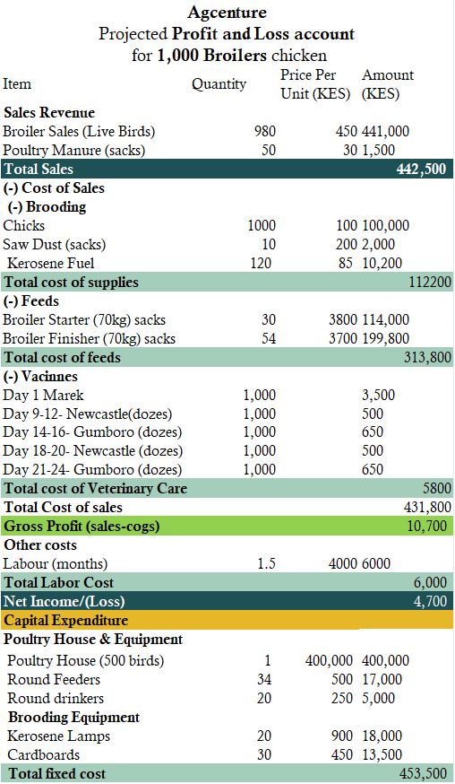 how profitable is 1000 broilers in kenya