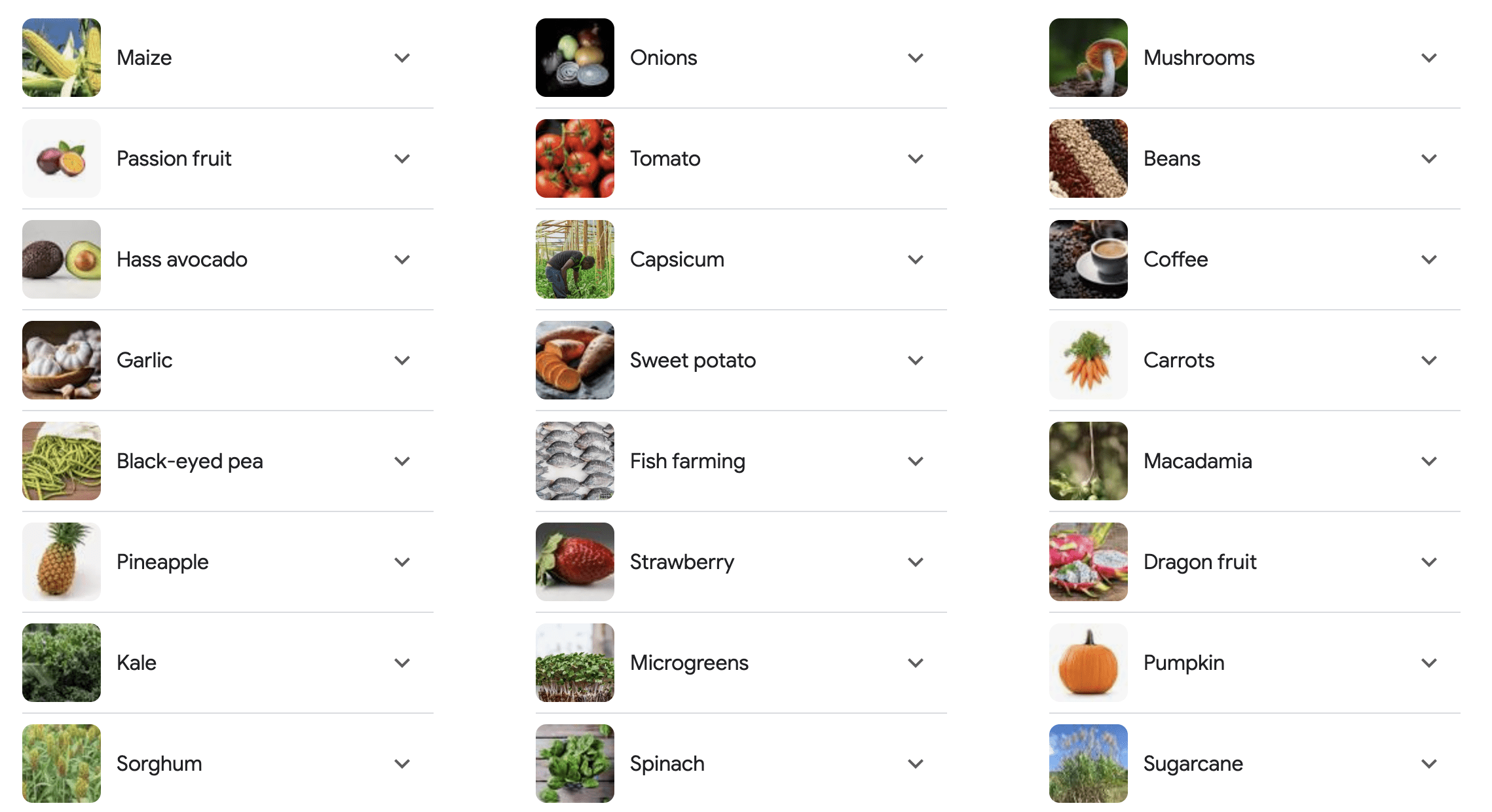 A list of the most profitable crops and animals to grow in Kenya