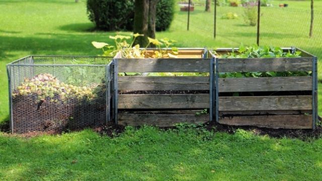 composting bin next to container garden