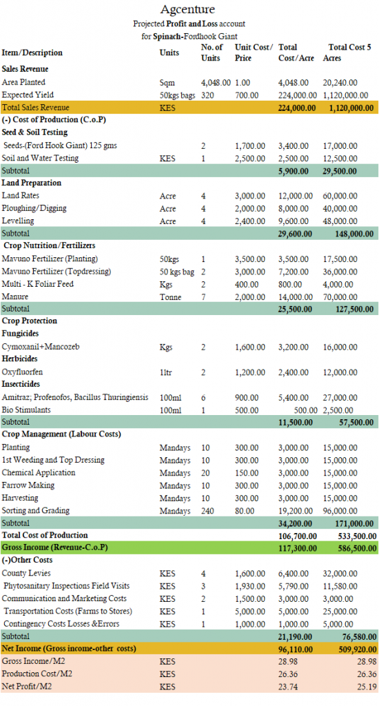 How Profitable is Fordhook Giant Spinach farming in Kenya