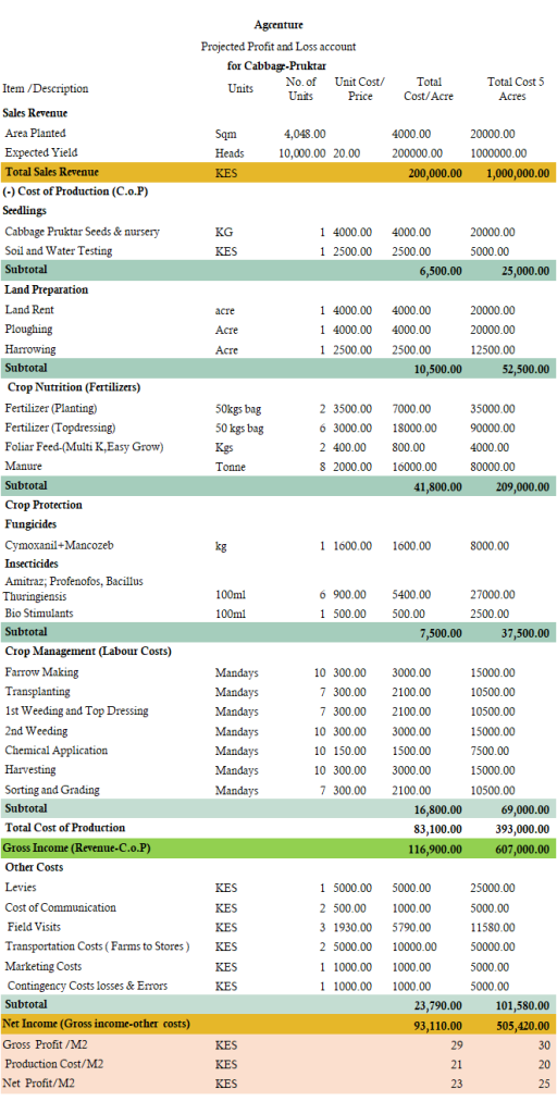 How profitable is Cabbage farming