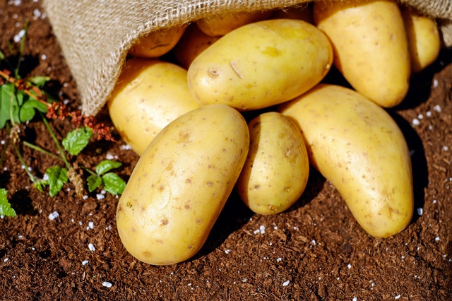 How to grow lots of potatoes in Kenya