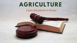 infographic agriculture laws and policies in Kenya
