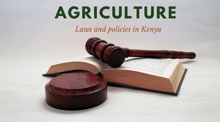 infographic agriculture laws and policies in Kenya