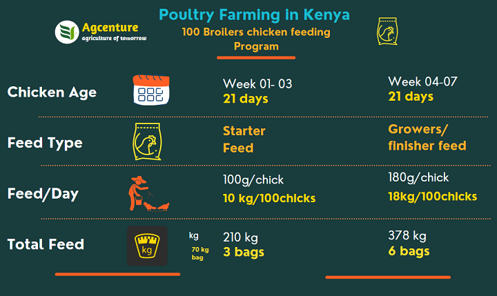 broiler feeding program in Kenya