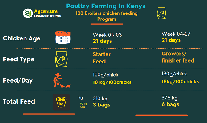 How profitable is broilers farming in kenya agcenture
