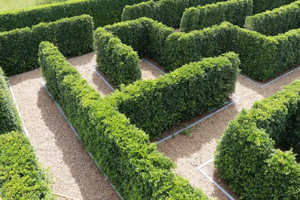 Garden with hedge plants that create fences maze