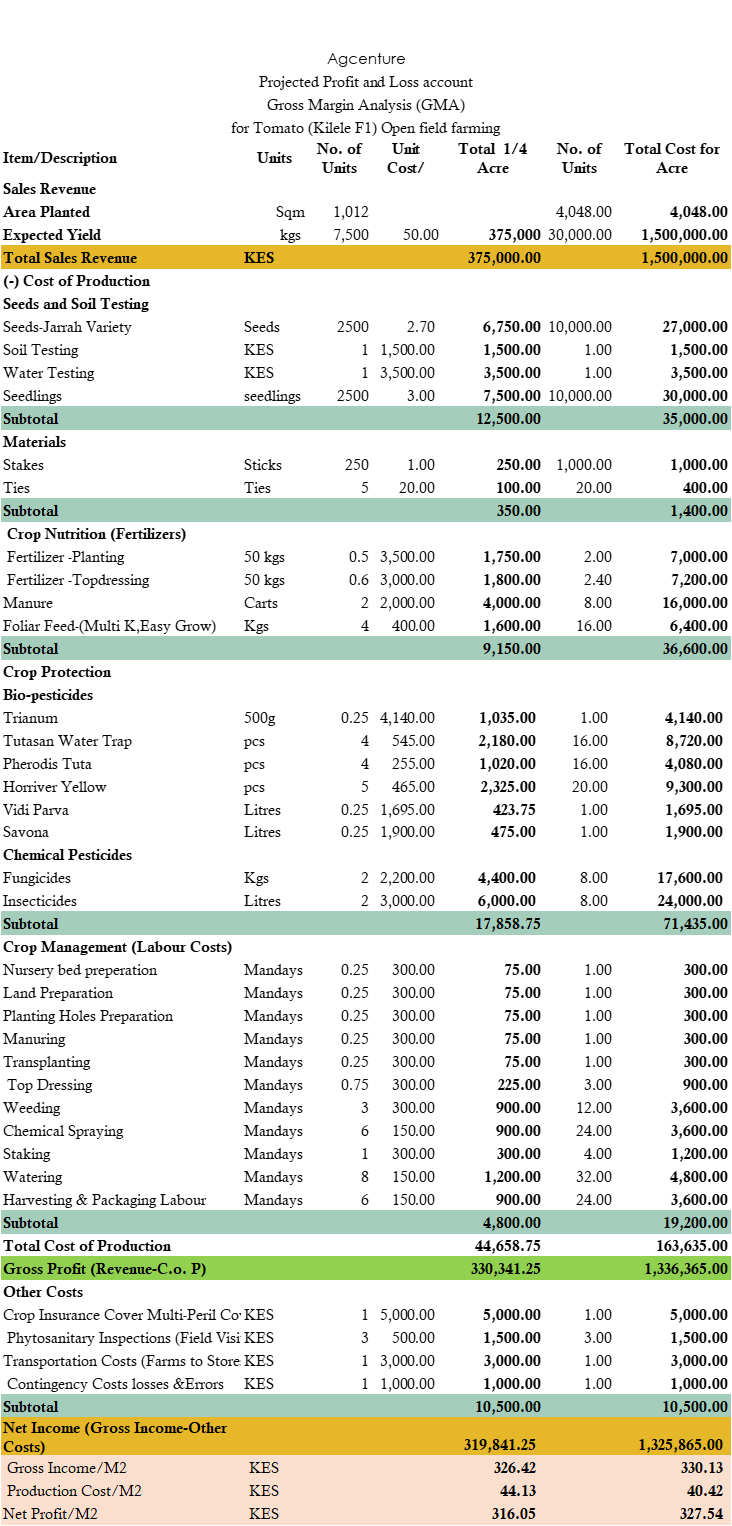 Tomato farming in Kenya; How to make millions Agcenture