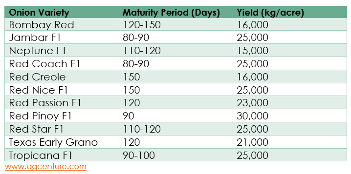 List of hybrid onion seeds in Kenya and Uganda