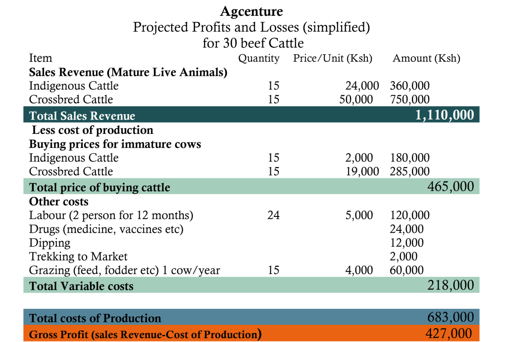 How profitble is beef farming in Kenya