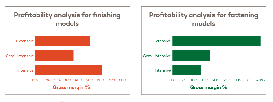 profitability of beef finishing and fattening in Kenya