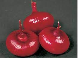 Red pinoy onion