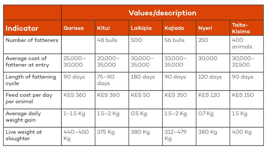 Facts about feedlot beef farming in Kenya