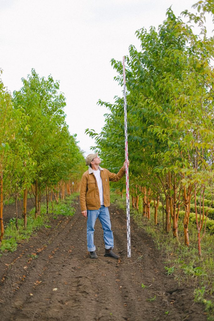 A man in brown jacket and blue jeans measuring height of trees