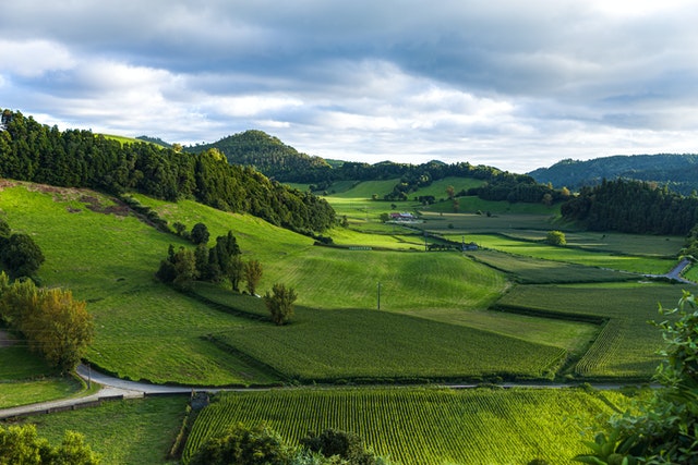 agricultural country side with green corn and hillsides