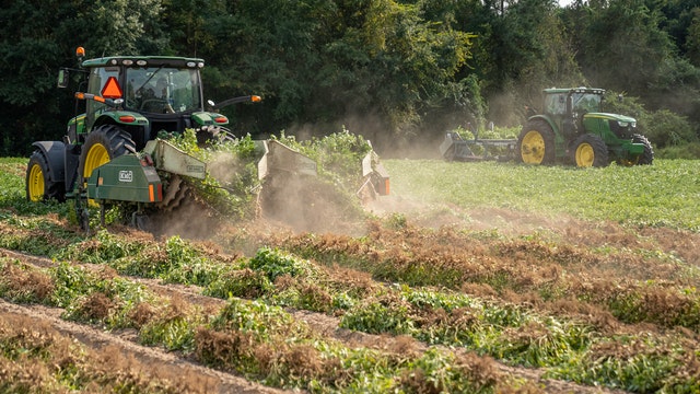 Tractors harvesting groundnuts