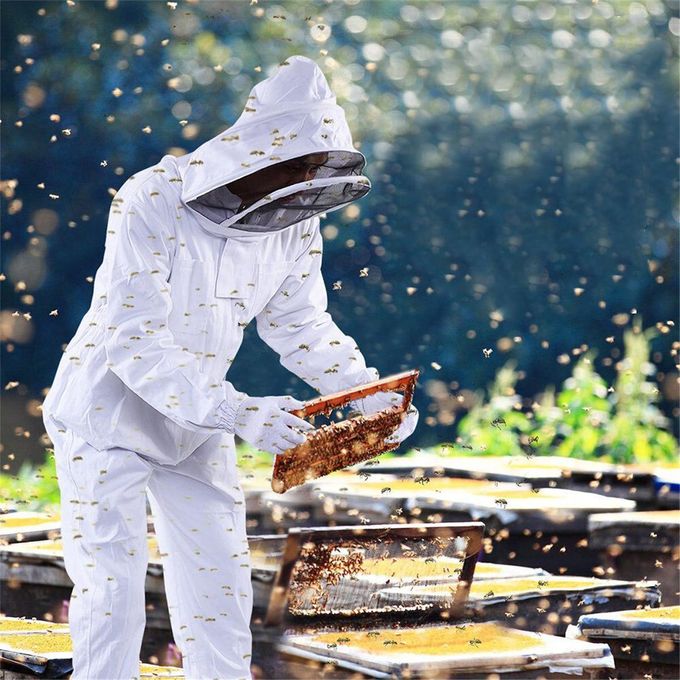 A beekeeper in a beekeeper suit
