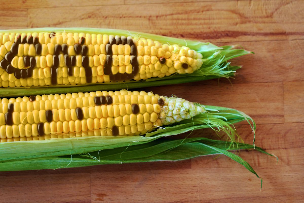What You Need to Know About GMO Food