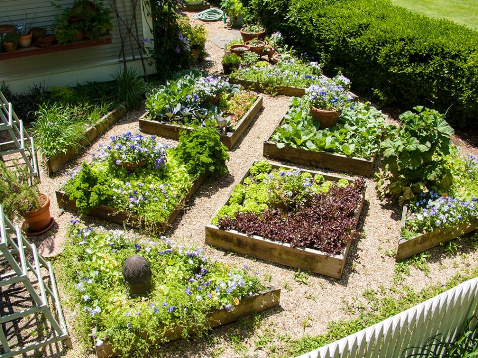 Food scaping, A “Beautiful” kitchen Gardening way for more Food