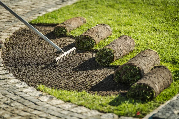 planting landscaping grass