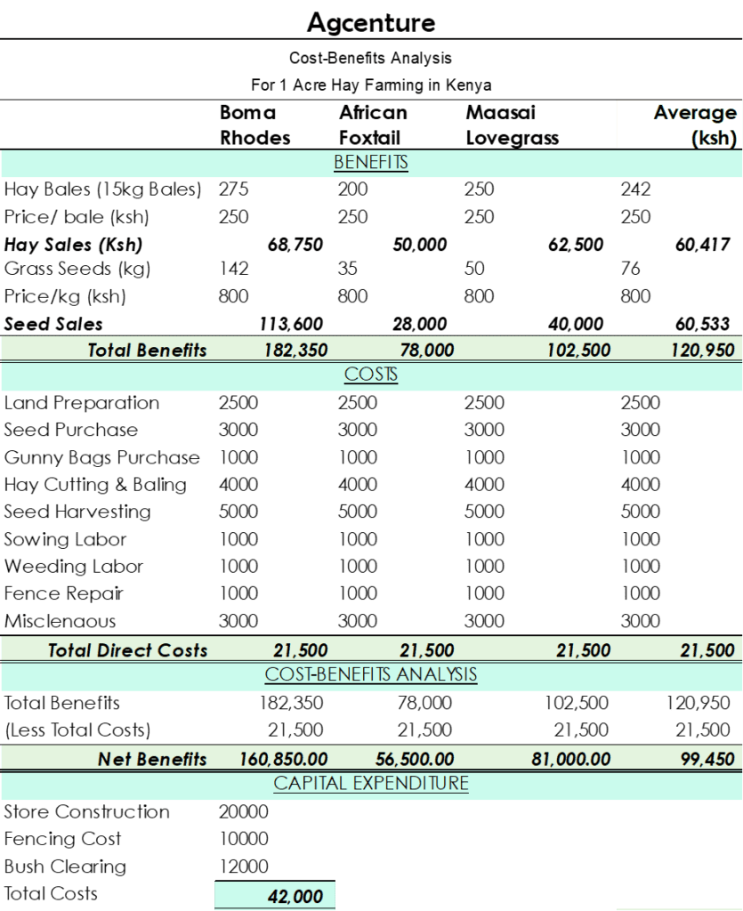 Hay farming budget or gross margin analyis estimates using the cost benefits analysis