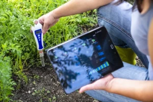 soil testing meter in use