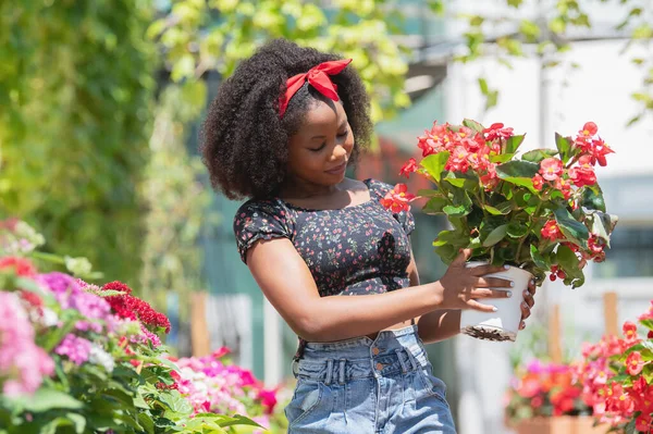 View of a beautiful African American woman carrying a pot of flowers — Stock Photo, Image New Remove BG Save Share Sample New View of a beautiful African American woman carrying a pot of flowers — Photo S 1000 × 666JPG 8.47 × 5.64cm L 2000 × 1333JPG 16.93 × 11.29cm XL 6500 × 4331JPG Standard License 55.03 × 36.67 cm 300 dpi SUPER 13000 × 8662JPG 110.07 × 73.34cm EL 6500 × 4331JPG 55.03 × 36.67cm Download Image Beautiful African American woman carrying a pot of red flowers outside a flower shop