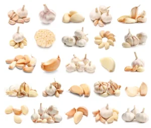 kitunguu saumu or garlic seed types in kenya