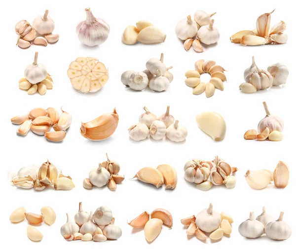 Which are the best garlic varieties in Kenya?